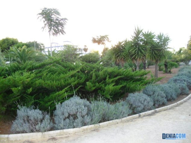 Rincones de Dénia: El Parque de les Bassetes 20 Parque de les Bassetes 19