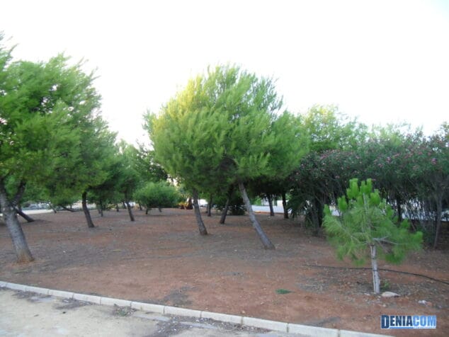 Rincones de Dénia: El Parque de les Bassetes 24 Parque de les Bassetes 23