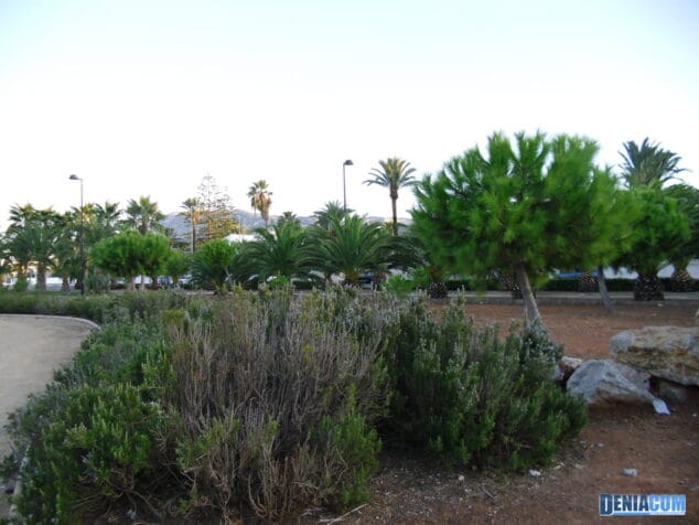 Rincones de Dénia: El Parque de les Bassetes 25 Parque de les Bassetes 24