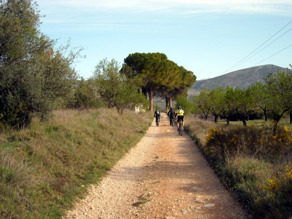 Ruta en bici Ruta en bici