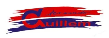 Autoescuela Guillem