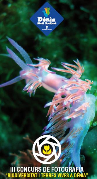 Concurso de Fotografía Biodiversitat i terres vives a Dénia