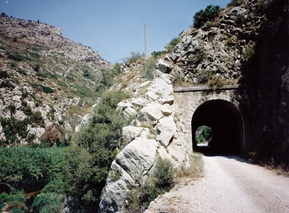 L'orxa Lorxa