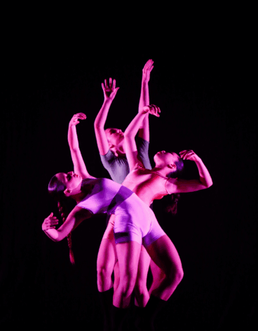 Aprender distintas modalidades de danza en Dénia