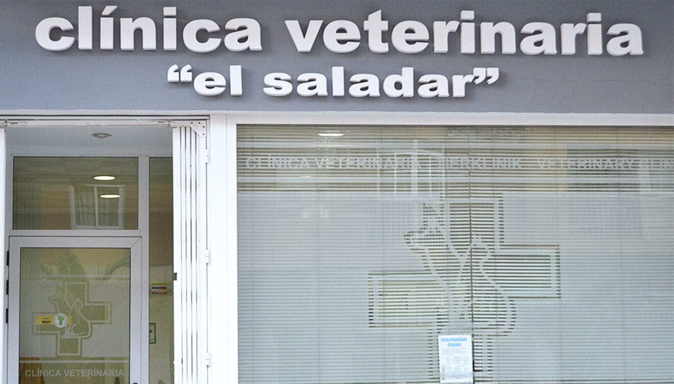 Entrada de Clínica Veterinaria El Saladar