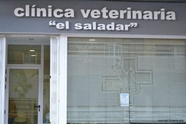 clínica veterinaria el saladar