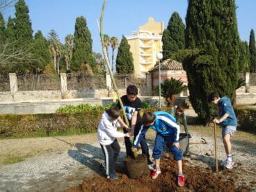 Plantacion de arboles escolares 01