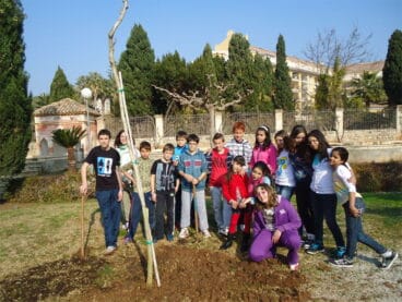Plantacion de arboles escolares 02
