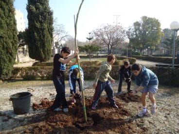 Plantacion de arboles escolares 03