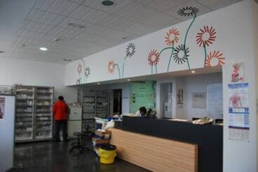 Proyecto Arte Vira Lata 00