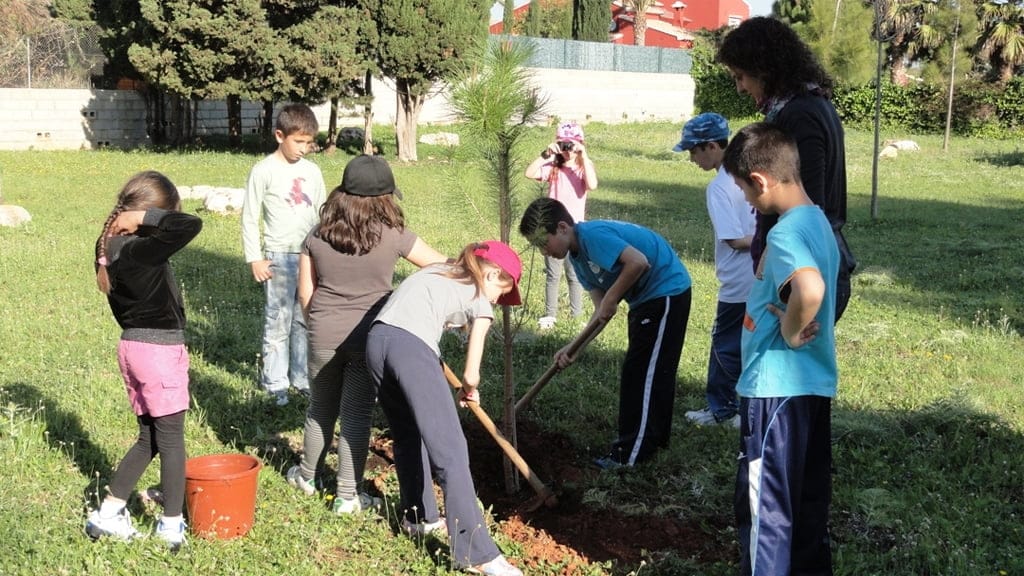 Plantacion responsable de arboles