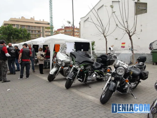 Más de setenta asociaciones se dan cita en la Feria de Asociaciones de Dénia 2 Feria de las Asociaciones 01