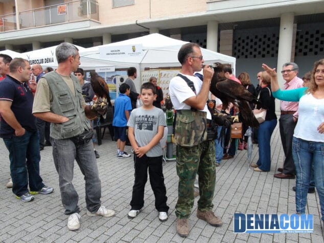Más de setenta asociaciones se dan cita en la Feria de Asociaciones de Dénia 23 Feria de las Asociaciones 22