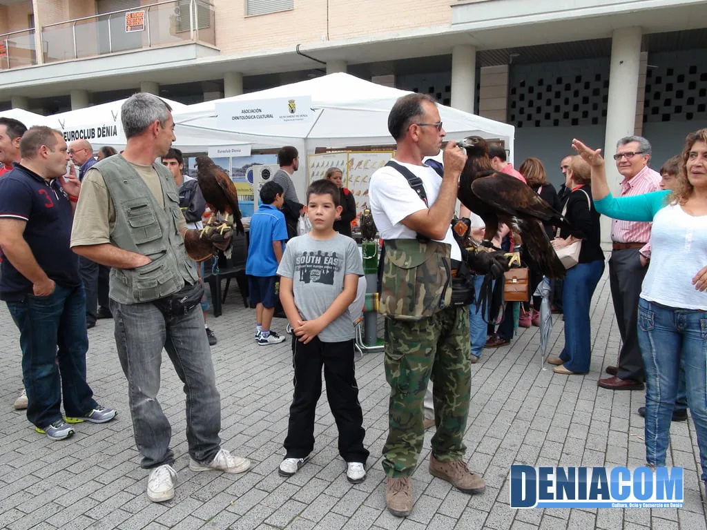 Feria de las Asociaciones 22