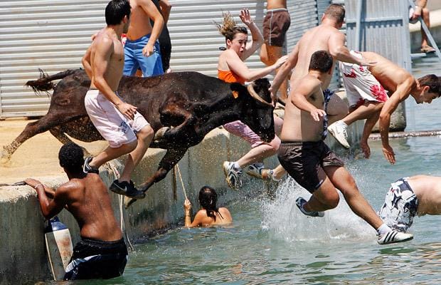 Bous a la mar Bous a la mar