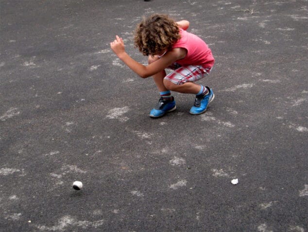 Pilota y arroz