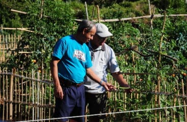 Dueños de los huertos urbanos