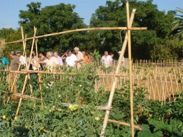 Entrega de llaves de los huertos urbanos de Torrecremada
