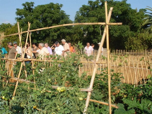 Entrega de llaves de los huertos urbanos de Torrecremada