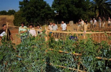 Huertos Urbanos de Torrecremada