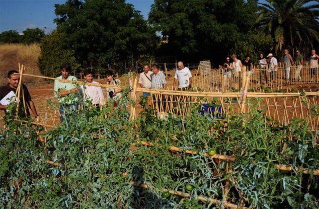 Huertos Urbanos de Torrecremada