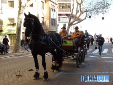 03 Bendición de animales en Dénia
