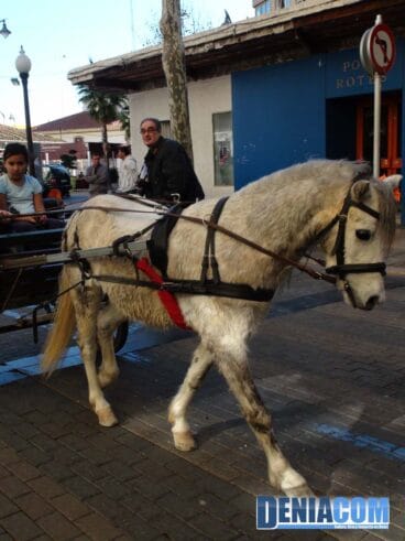 04 Bendición de animales en Dénia