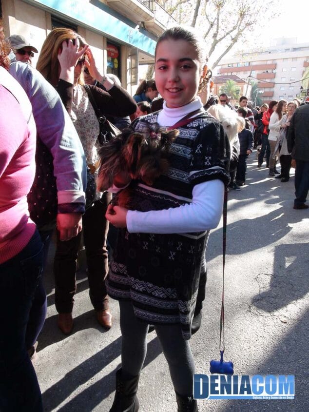 14 Bendición de animales en Dénia