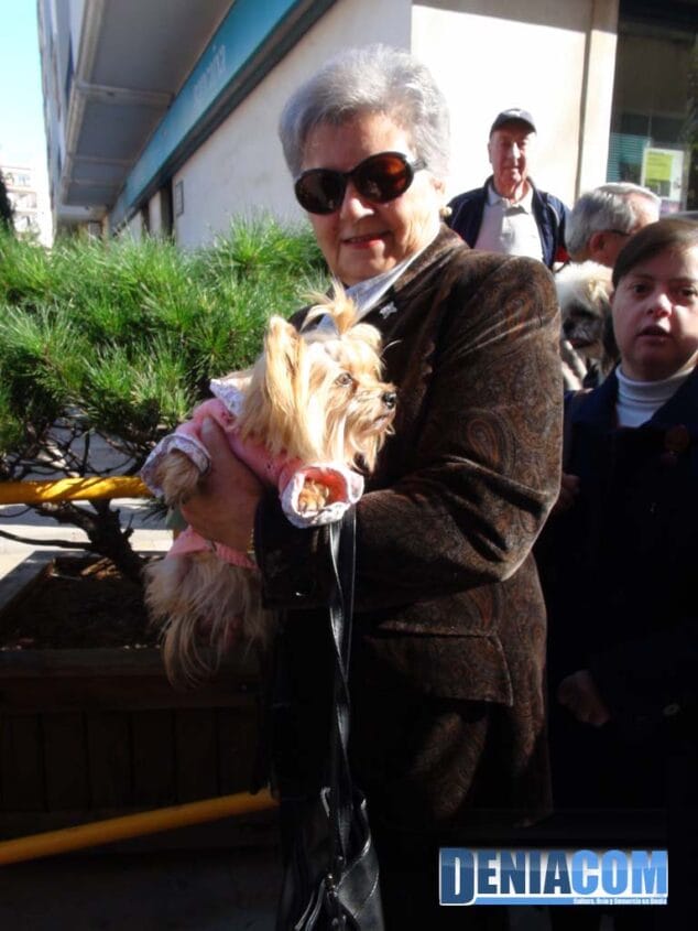 15 Bendición de animales en Dénia