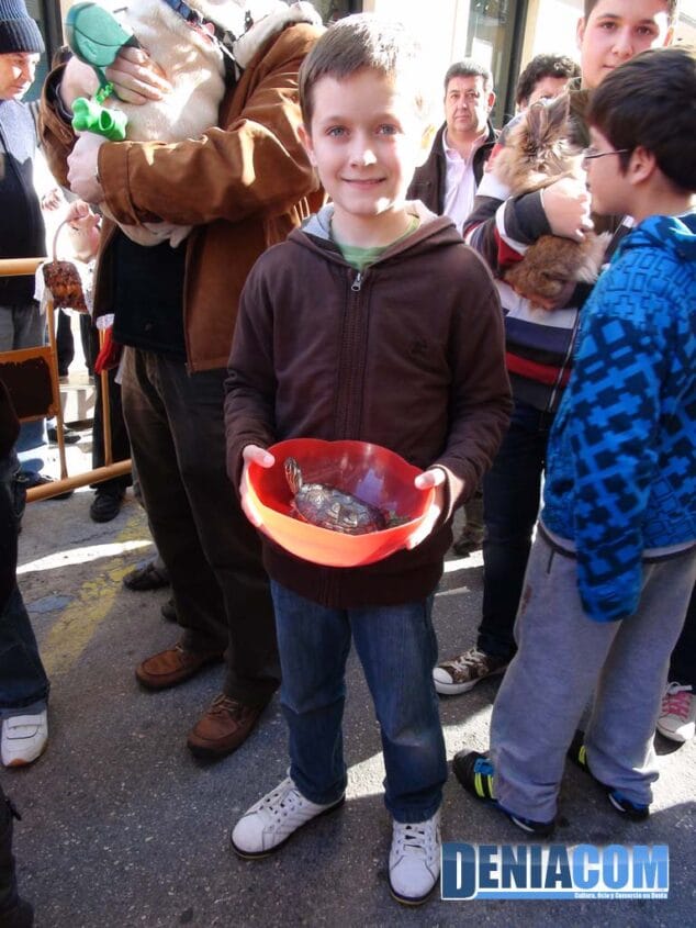 16 Bendición de animales en Dénia