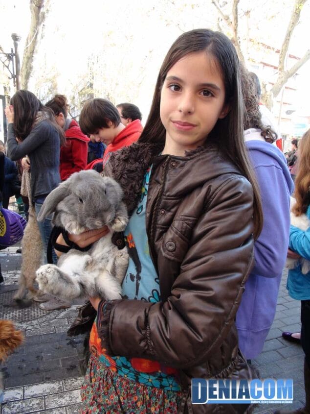 19 Bendición de animales en Dénia