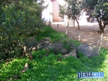 Sagrado Corazón de Dénia abandonado entre la Residencia Santa Lucía y el colegio Alfa Y Omega
