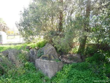 Restos abandonados del Sagrado Corazón en Dénia