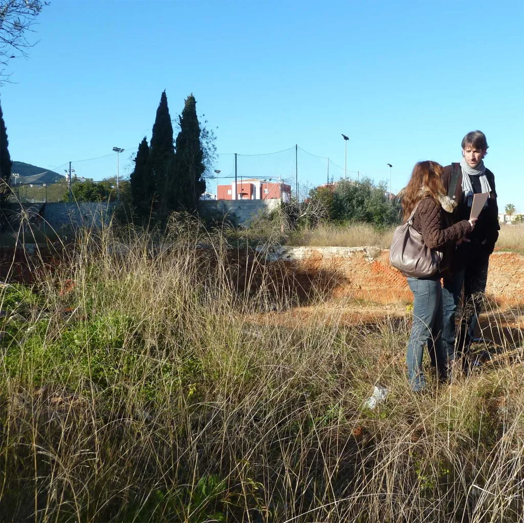 Limpieza de solares en Dénia Limpieza de solares en Dénia