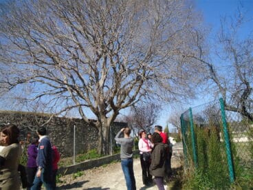Ruta de los árboles monumentales 1