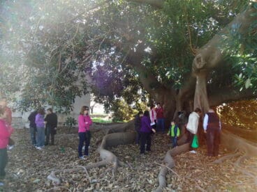 Ruta de los árboles monumentales 2012