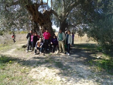 Ruta de los árboles monumentales 3