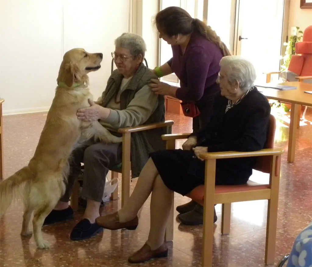 Terapia con animales en la Residencia de Ancianos