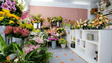 Comprar plantas y flores naturales y artificiales en Dénia