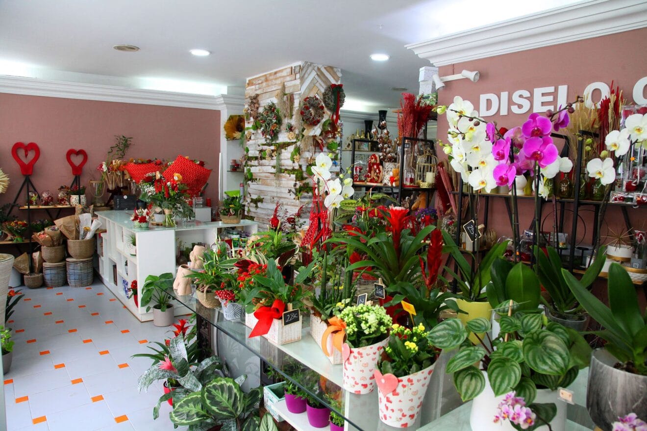 Encuentra tus flores decorativas en Floristería Mandarina