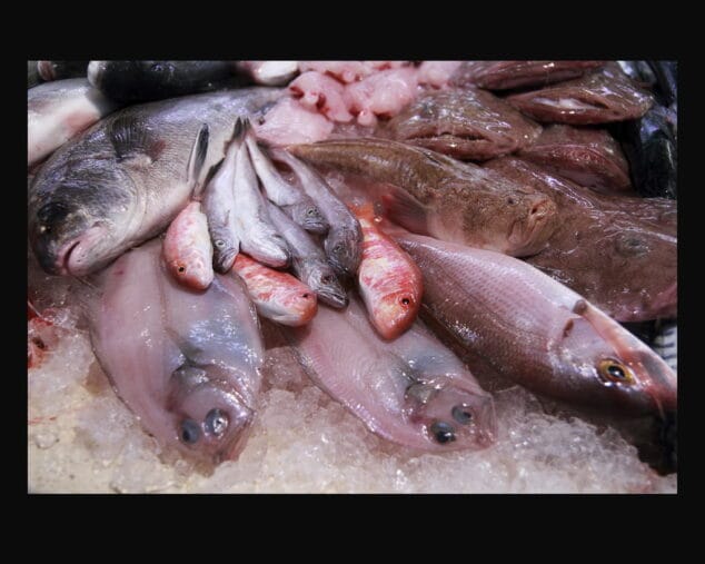 El peix de Ximo i Antonia Alfredo Sanz