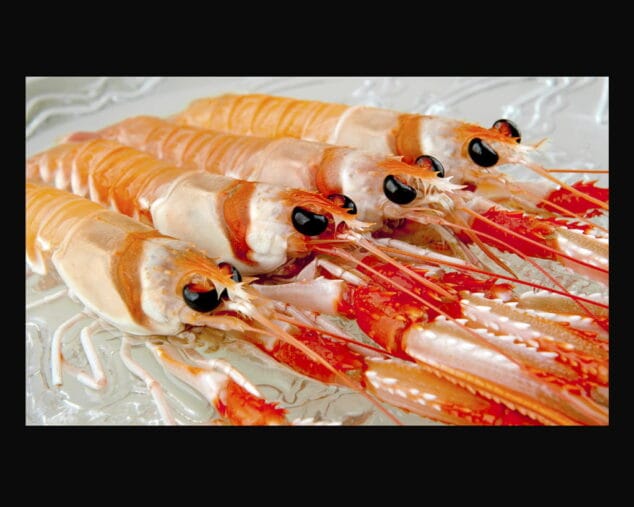 Las Cigalas del Surdo Héctor Aura