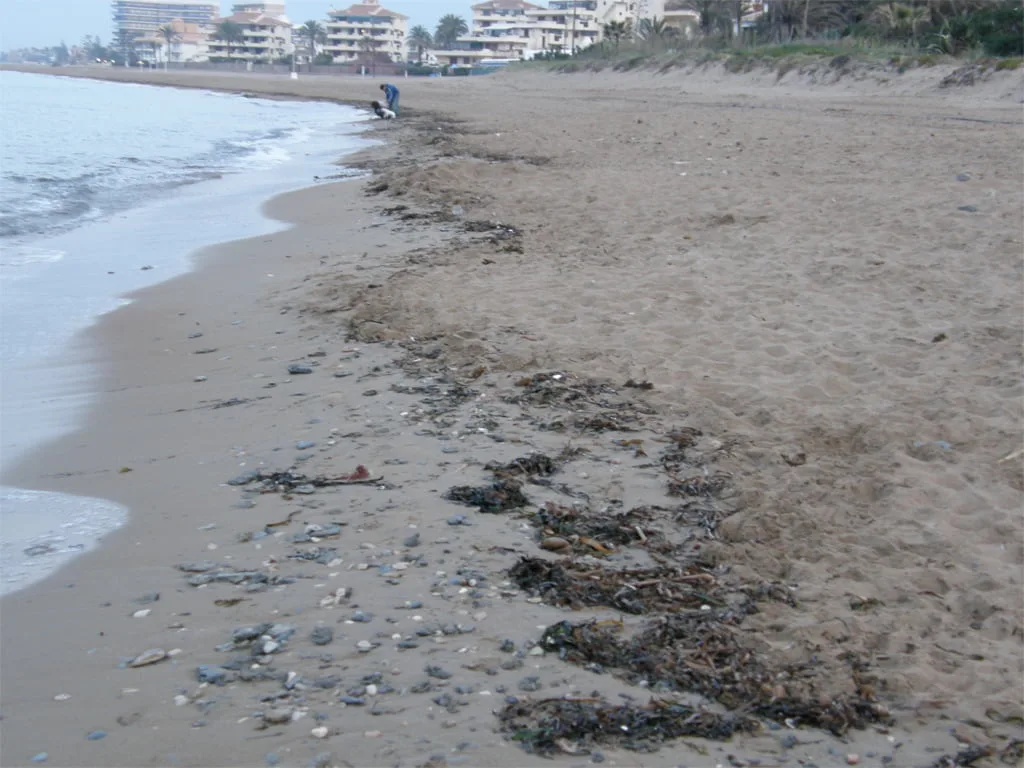 Playa de las Albaranas Playa de las Albaranas