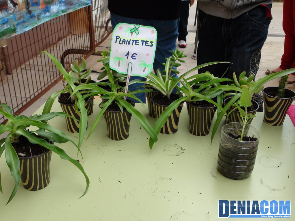 Venta de plantitas en el mercadillo solidario de Llunàtics de Dénia