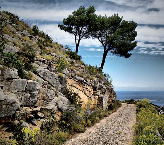 5 rutas 5 paisajes copia