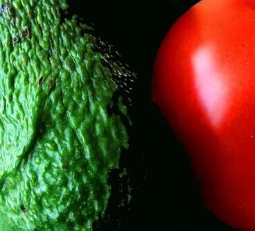 Adela Tarnawiecki_Rojo y verde