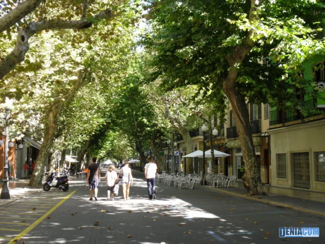 Calle Campos 2