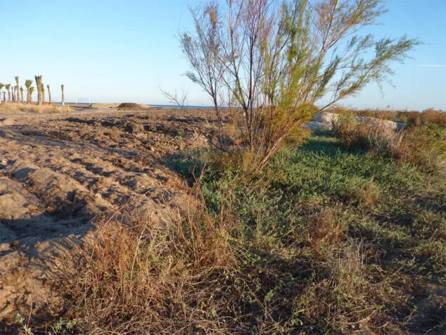 Dénia pagará 75000 euros de multa por la construcción de una pasarela