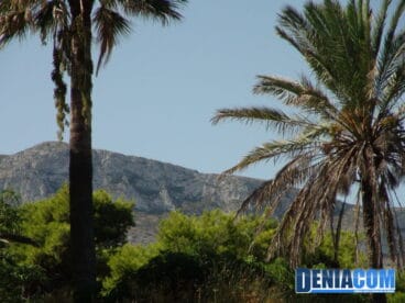 El-Montgó-entre-palmeras