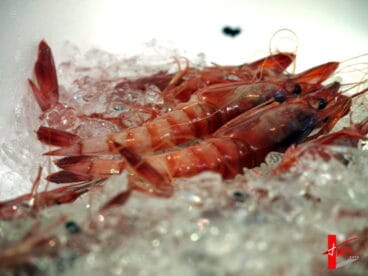 Gamba Roja de Dénia